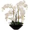23-Inch Phalaenopsis Orchid Arrangement - Elegant Silk Floral Accent for Home & Office Decor, Floral Home by Artificial Flowers